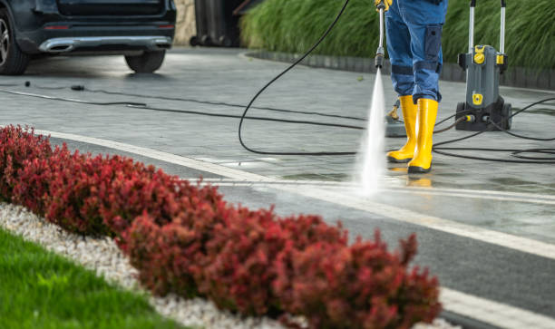 Best Animal Enclosure Cleaning  in Chevy Chase Village, MD